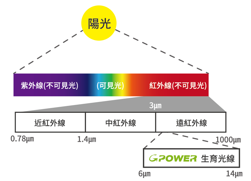 proimages/QA/Q-10-1.jpg