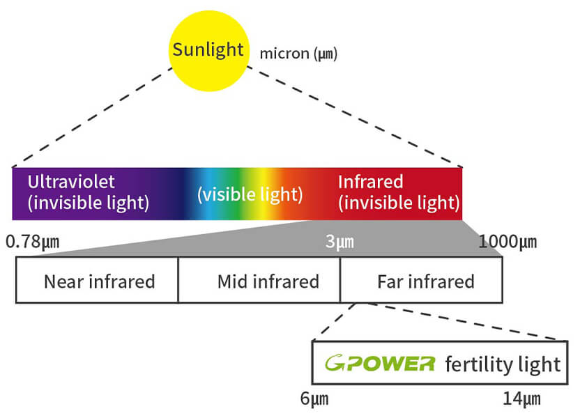 Why does G-Power bio-energy far-infrared rays have an effect on the human  body?