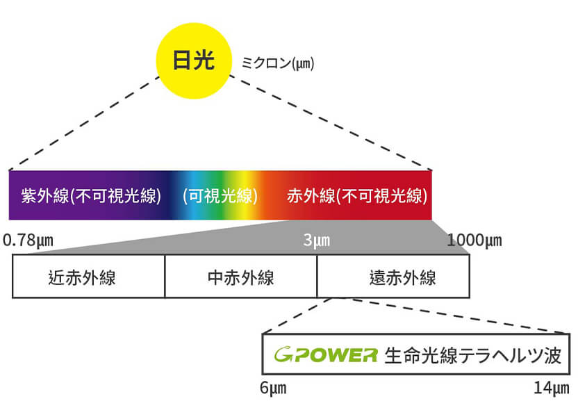 proimages/QA/qa10.jpg